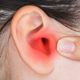 Imagen: Shutterstock